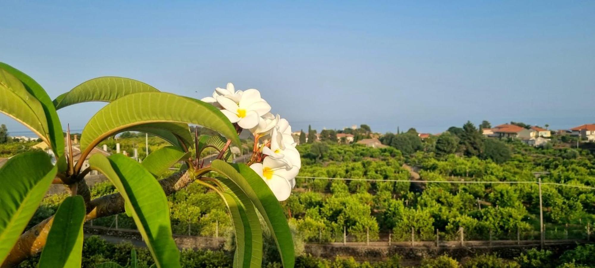 Vila Casa Mariano Acireale Exteriér fotografie